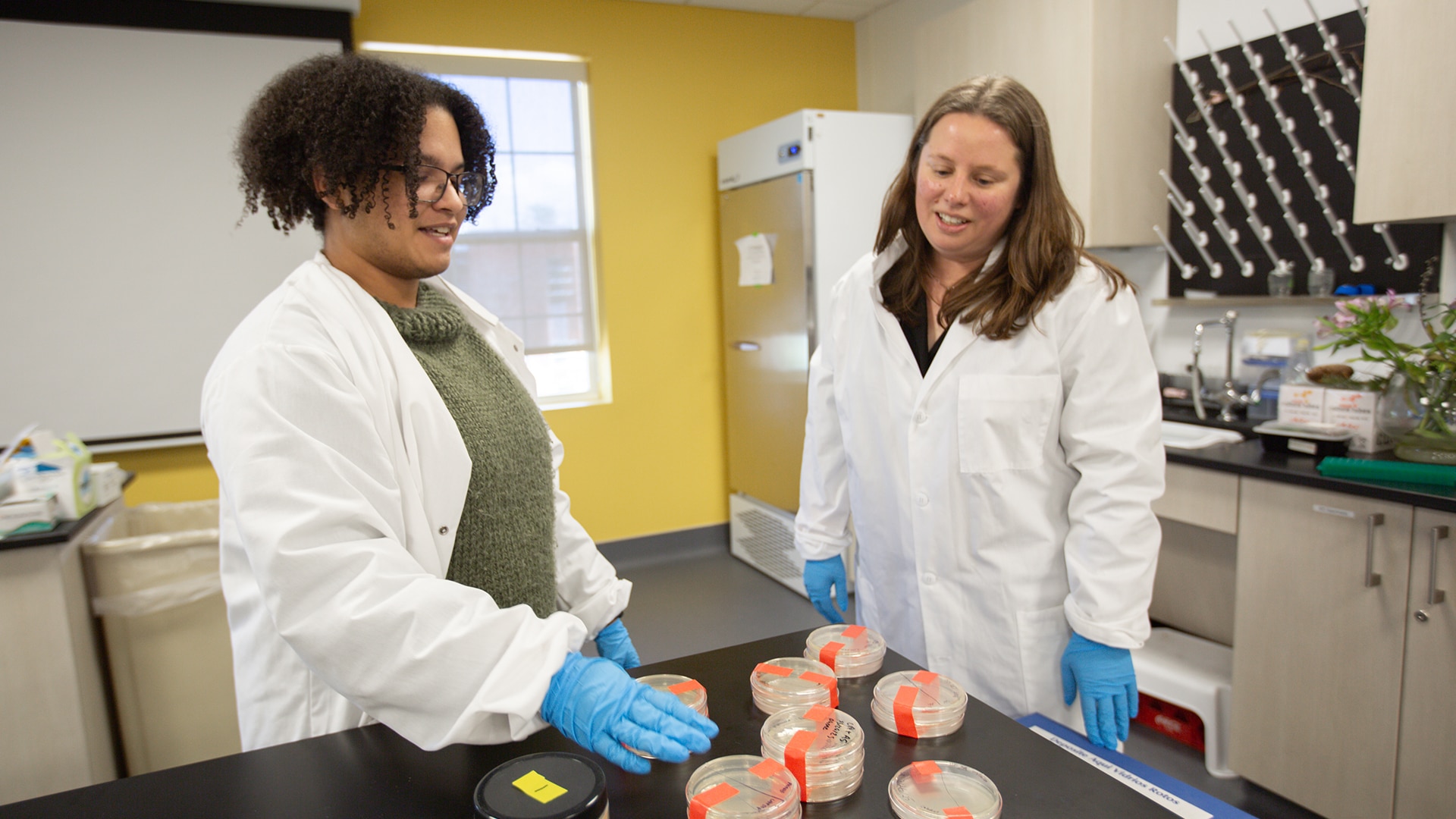 Two students wearing lab coats standing at counter with petri dishes in lab classroom.