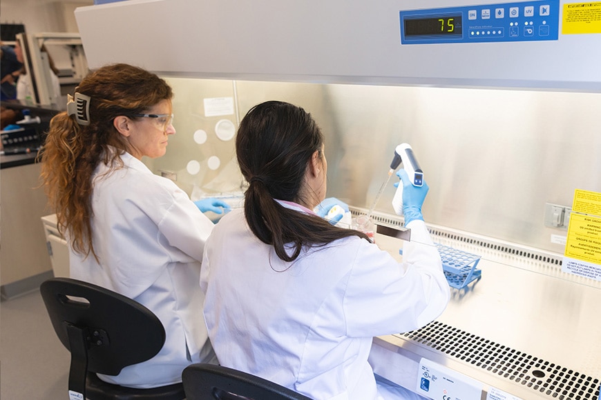 Two students in white lab coats, wearing gloves and working at a biosafety cabinet in a classroom lab.