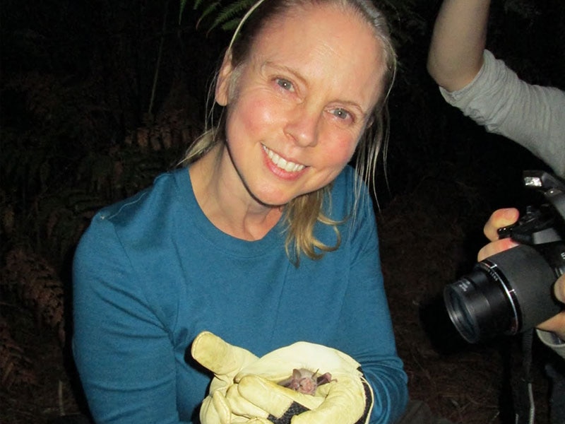 Dr. Katharine York, Professor and Department Chair, Biological Sciences at SNHU.