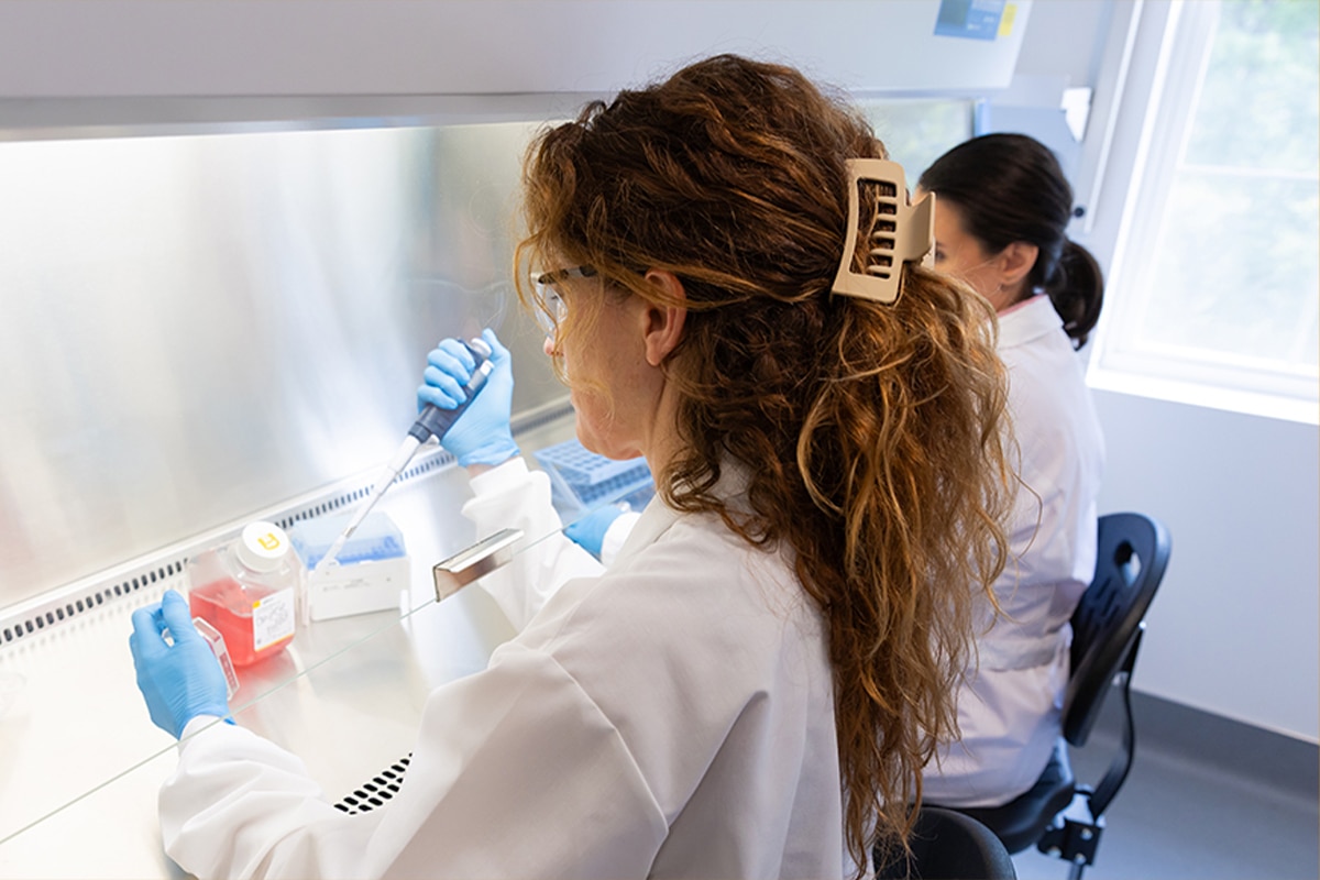 Two students in white lab coats, wearing gloves and working at a biosafety cabinet in a classroom lab.