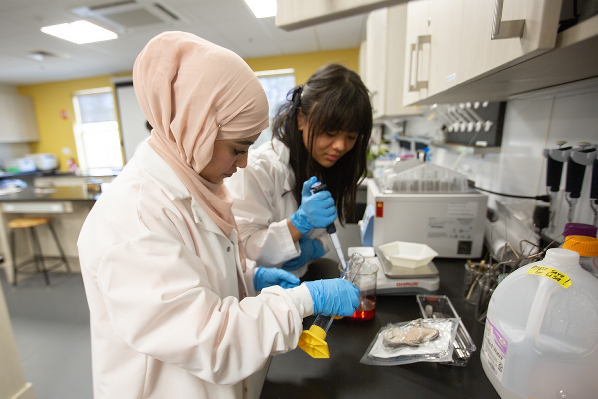 Two students in a lab pursuing SNHU’s new BS in biomedical science.