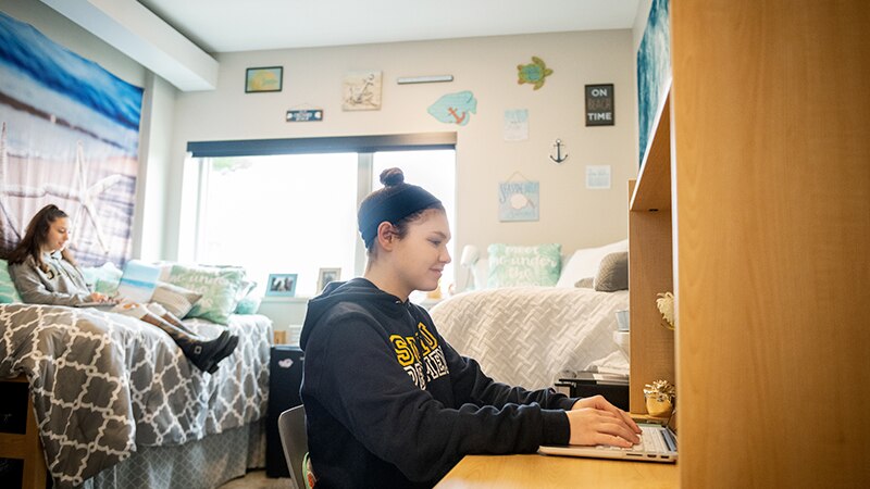 Two roommates working in their dorm room.